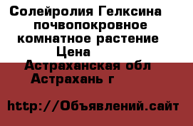 Солейролия(Гелксина) - почвопокровное, комнатное растение › Цена ­ 200 - Астраханская обл., Астрахань г.  »    